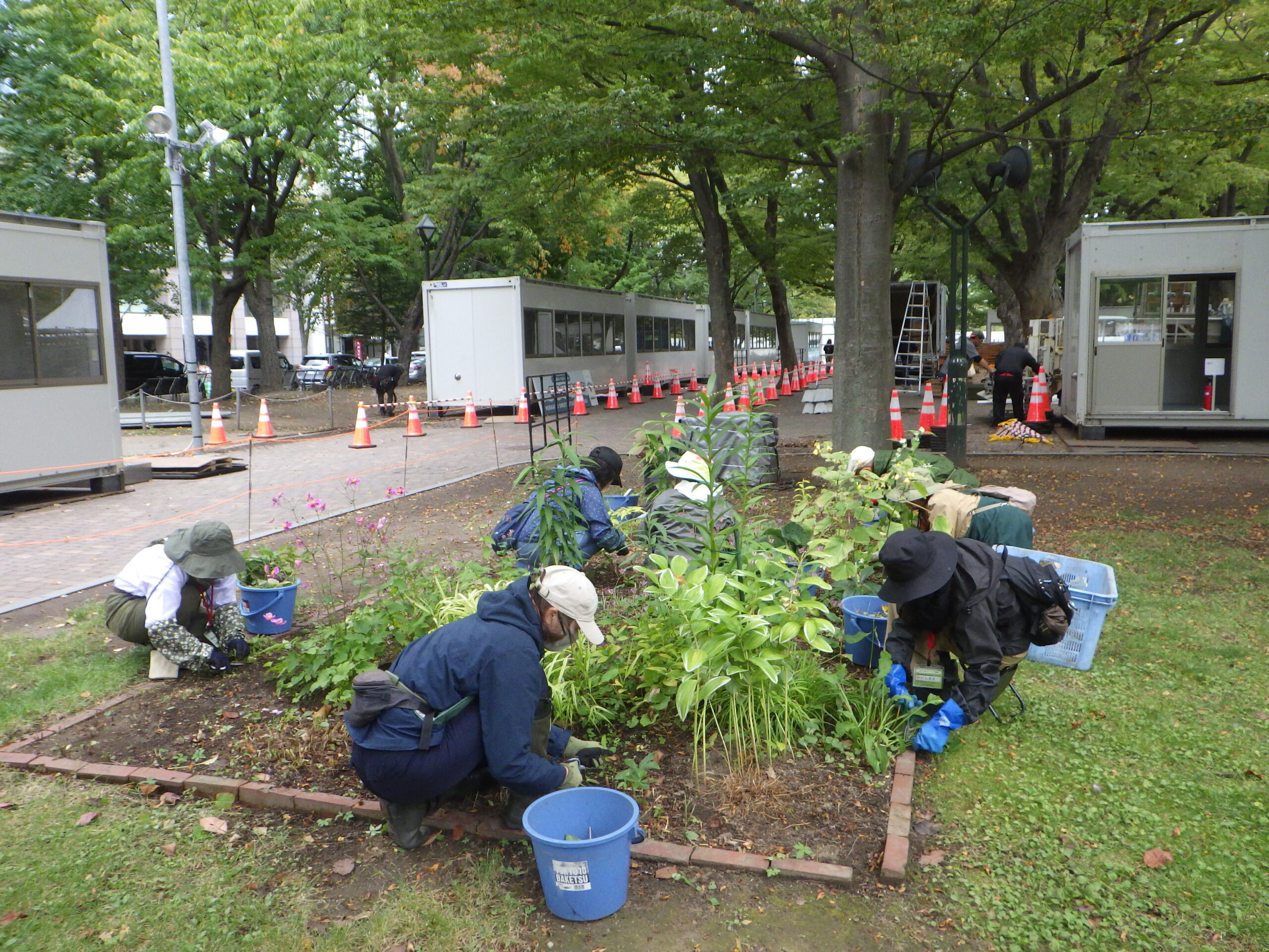 1005花壇ボランティア