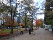 1015西2丁目の紅葉