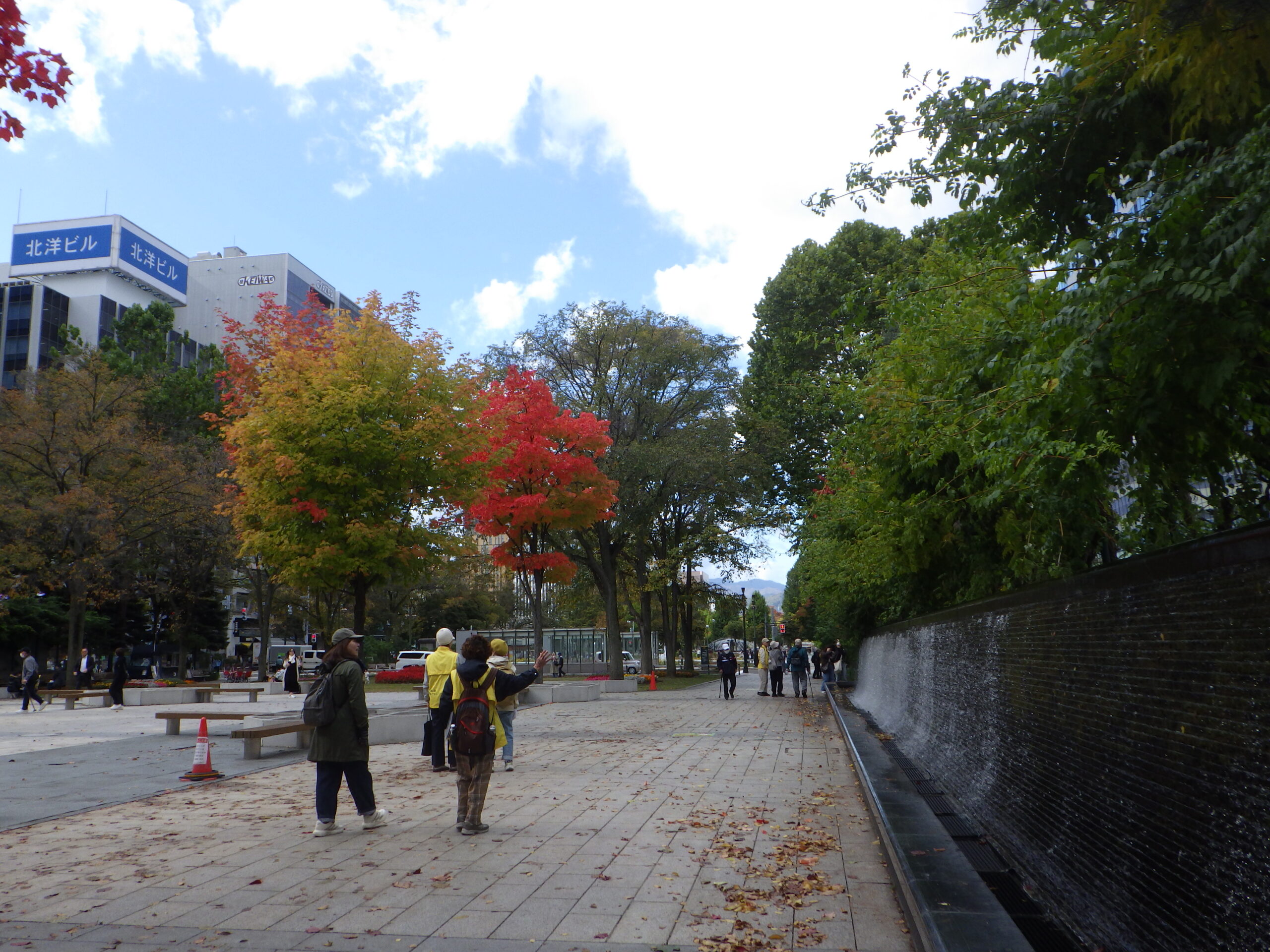 1015西2丁目の紅葉