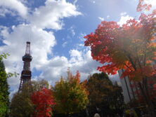 1015西2丁目の紅葉