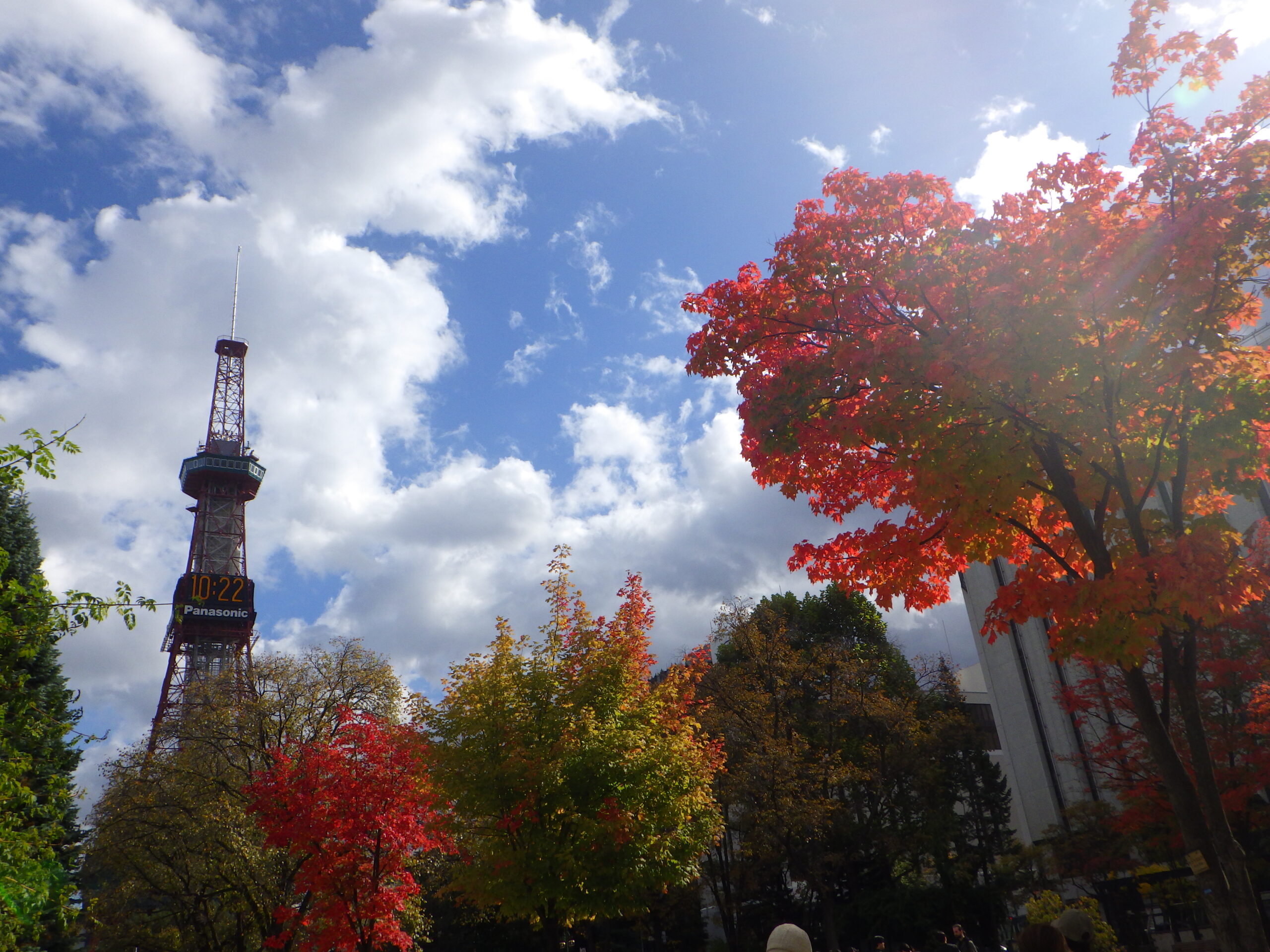 1015西2丁目の紅葉