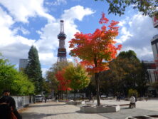 1015西2丁目の紅葉