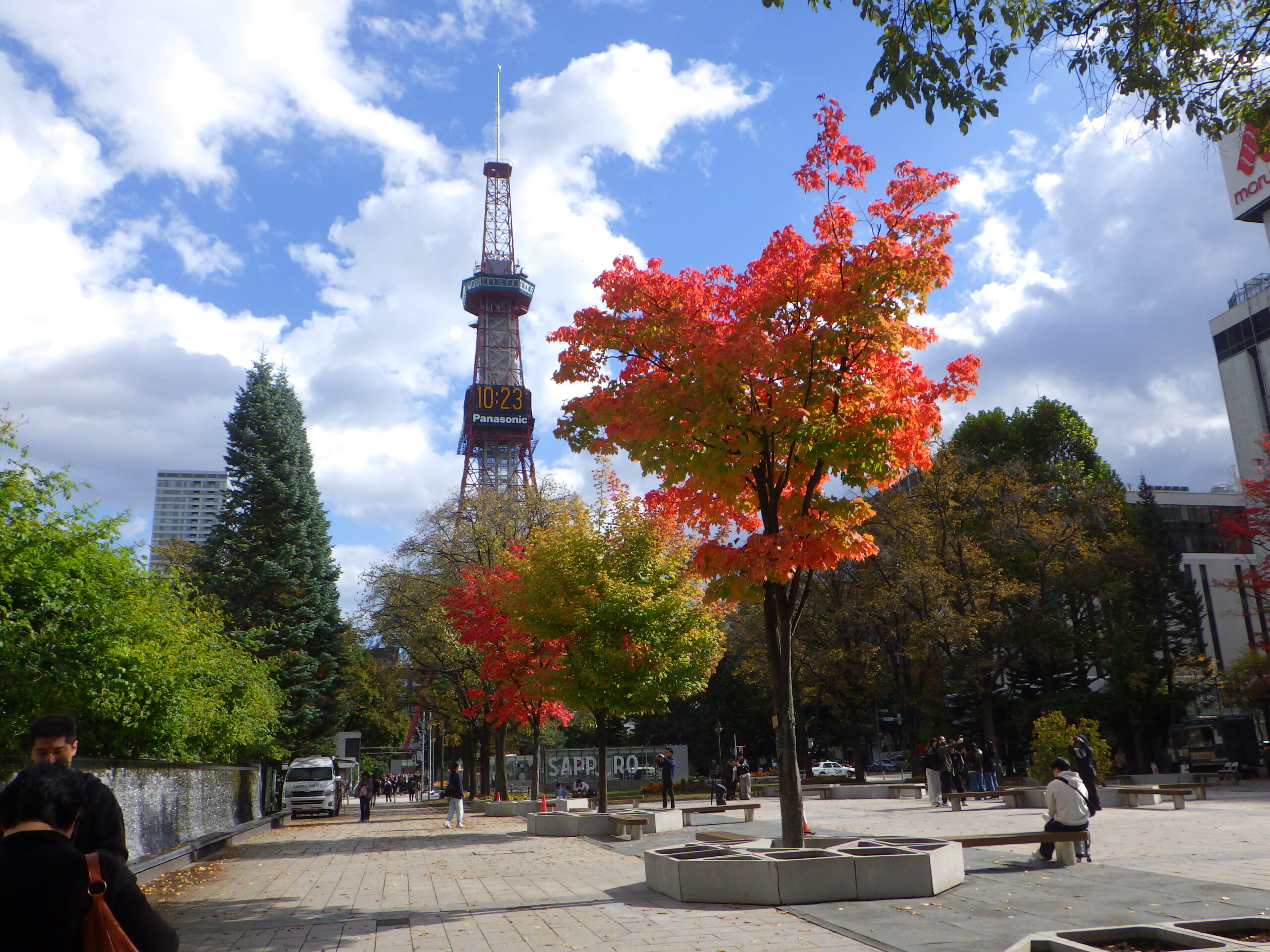 1015西2丁目の紅葉