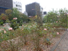 1016作業前