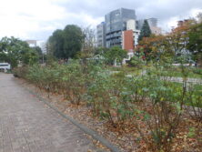 1016作業前