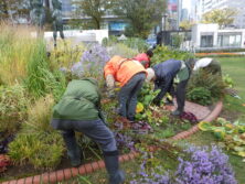 1019花壇ボランティア