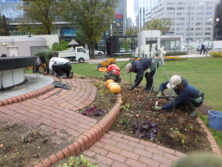 1019花壇ボランティア