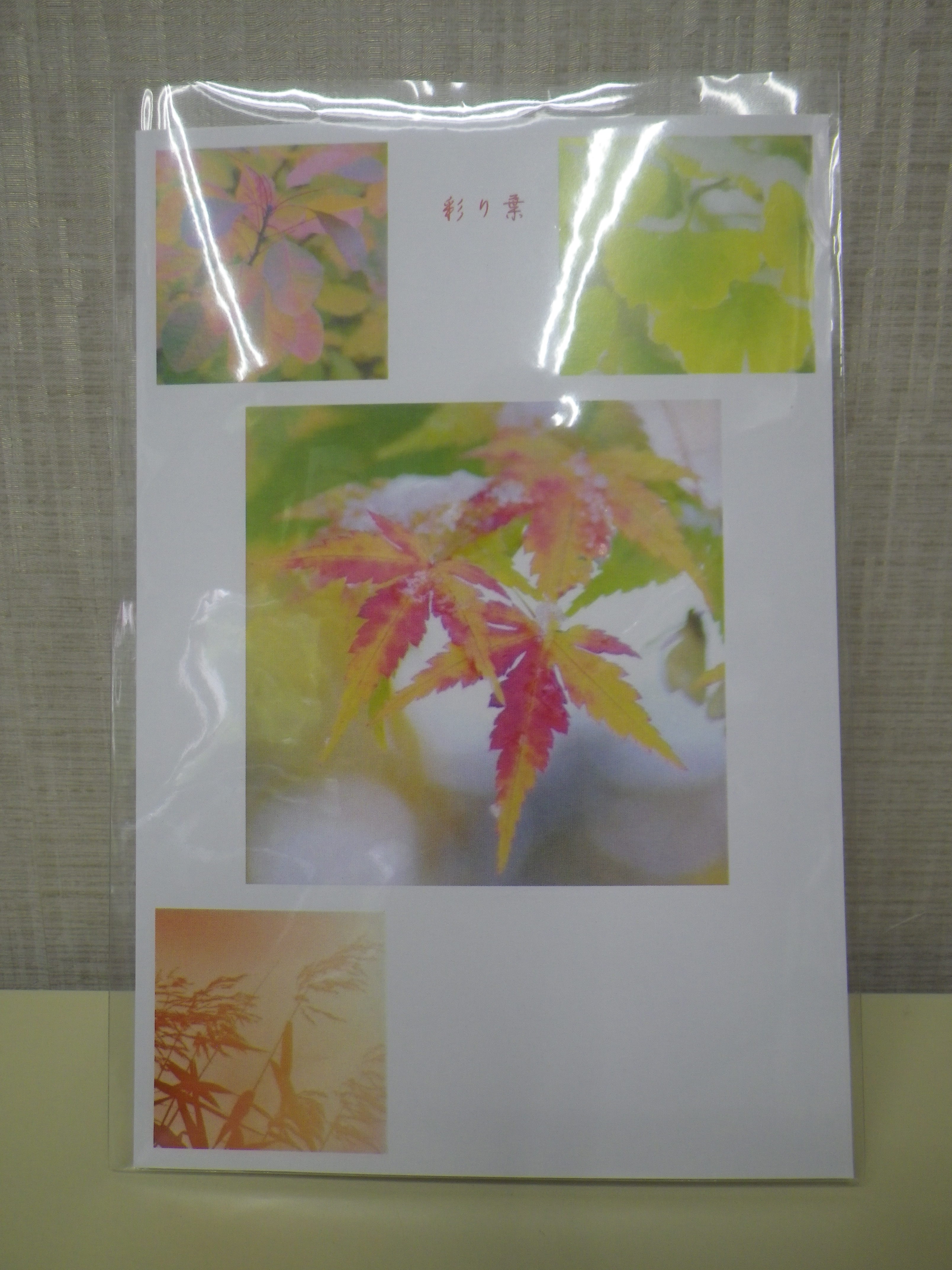 紅葉のポストカードの画像