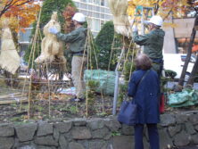 冬囲い作業をする職員に話しかける市民の画像