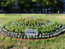 西3東側花壇北海道新聞社様