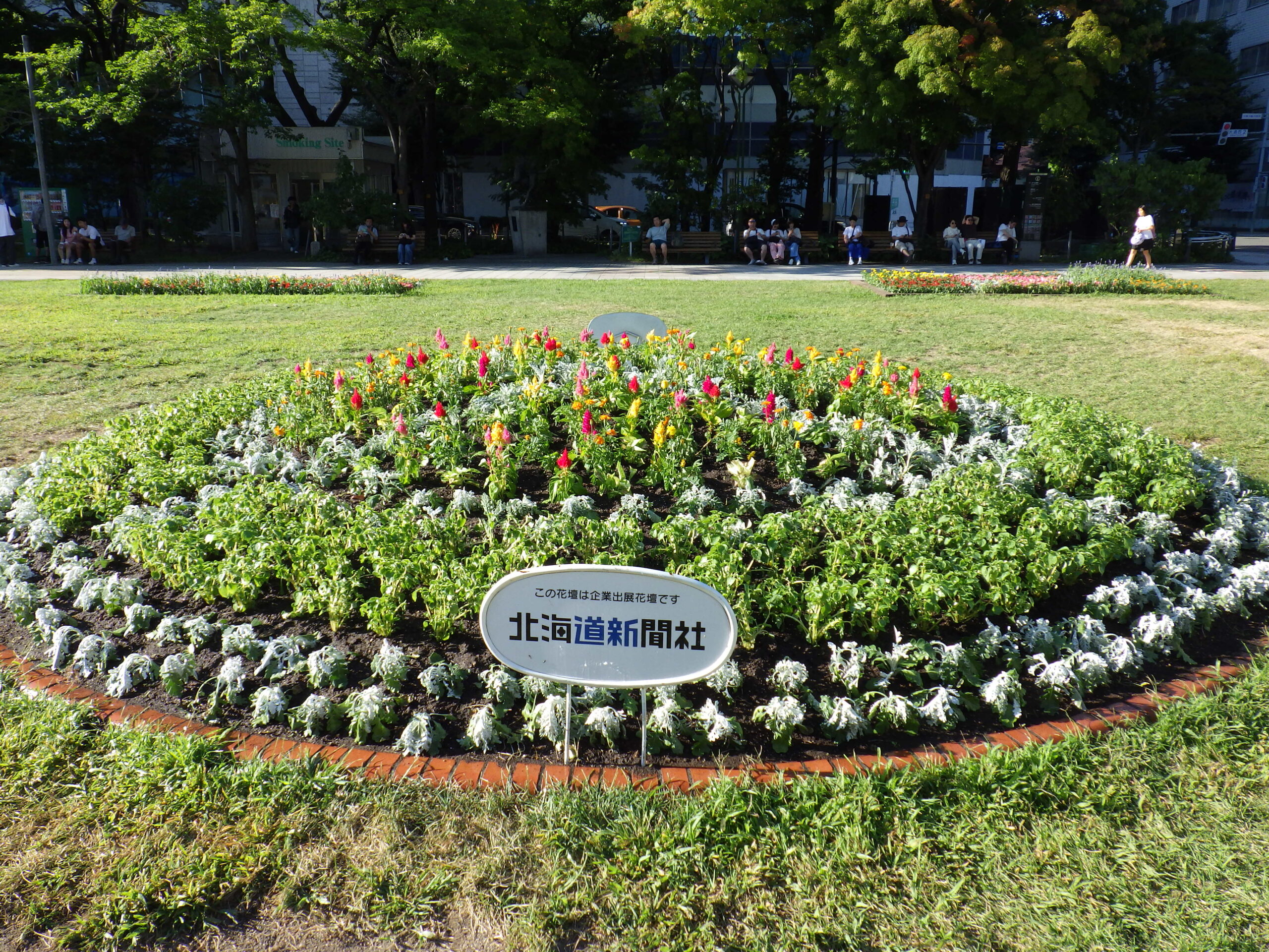 西3東側花壇北海道新聞社様