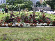 R8年度コンクール花壇7努力賞