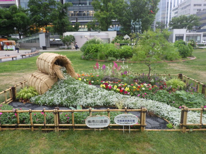 R7大通公園コンクール花壇_市長賞3