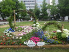 R7年度コンクール花壇6札幌市都市緑化基金賞