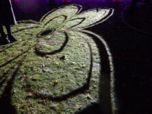 西3丁目ウインターブロッサムズが地面にイルミネーションの影を映している画像