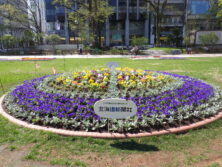 西3東側花壇北海道新聞社様