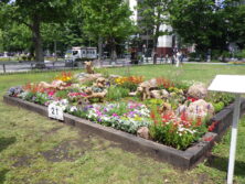 R8年度コンクール花壇4市議会議長賞、市民賞