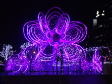 西3丁目ウインターブロッサムズが紫色に点灯している画像