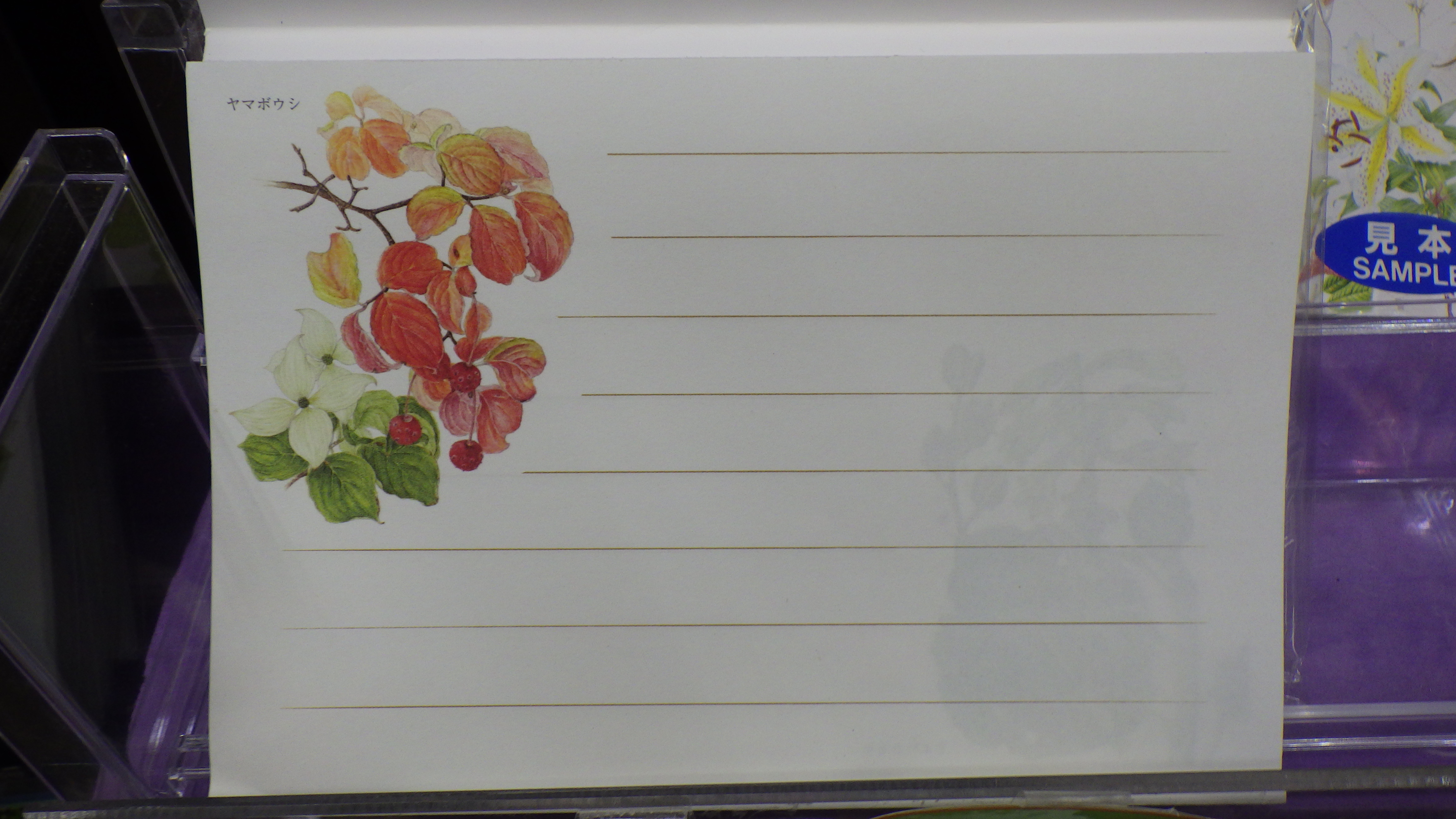 横書きの一筆箋さっぽろ花便りの1頁目の画像