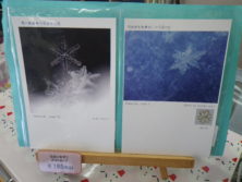 黒背景と青背景に雪の結晶のポストカード2枚の画像