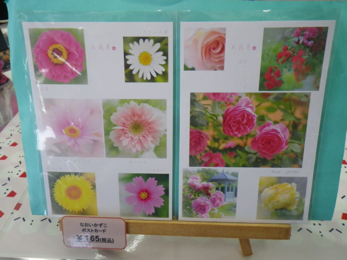 デイジーやマーガレット、ガーベラなど6種類の花の写真のポストカードとバラ5種類のポストカード2枚の画像