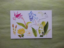 ピンクのカタクリの花、黄色のフクジュソウ、薄い青のエゾエンゴサク、つくし、スズランなどを描いた佐々木こよりさんの横型ポストカード