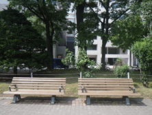 西8丁目の札幌景観色ドングリが塗られたベンチの画像