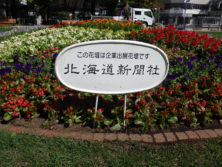 西3丁目東側の北海道新聞のスポンサー花壇の看板