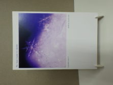 直井和子ポストカードゆきの花コレクション17の画像