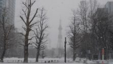 大通公園西5丁目からテレビ塔を撮影したが吹雪でかすんでいる3月6日の朝の画像