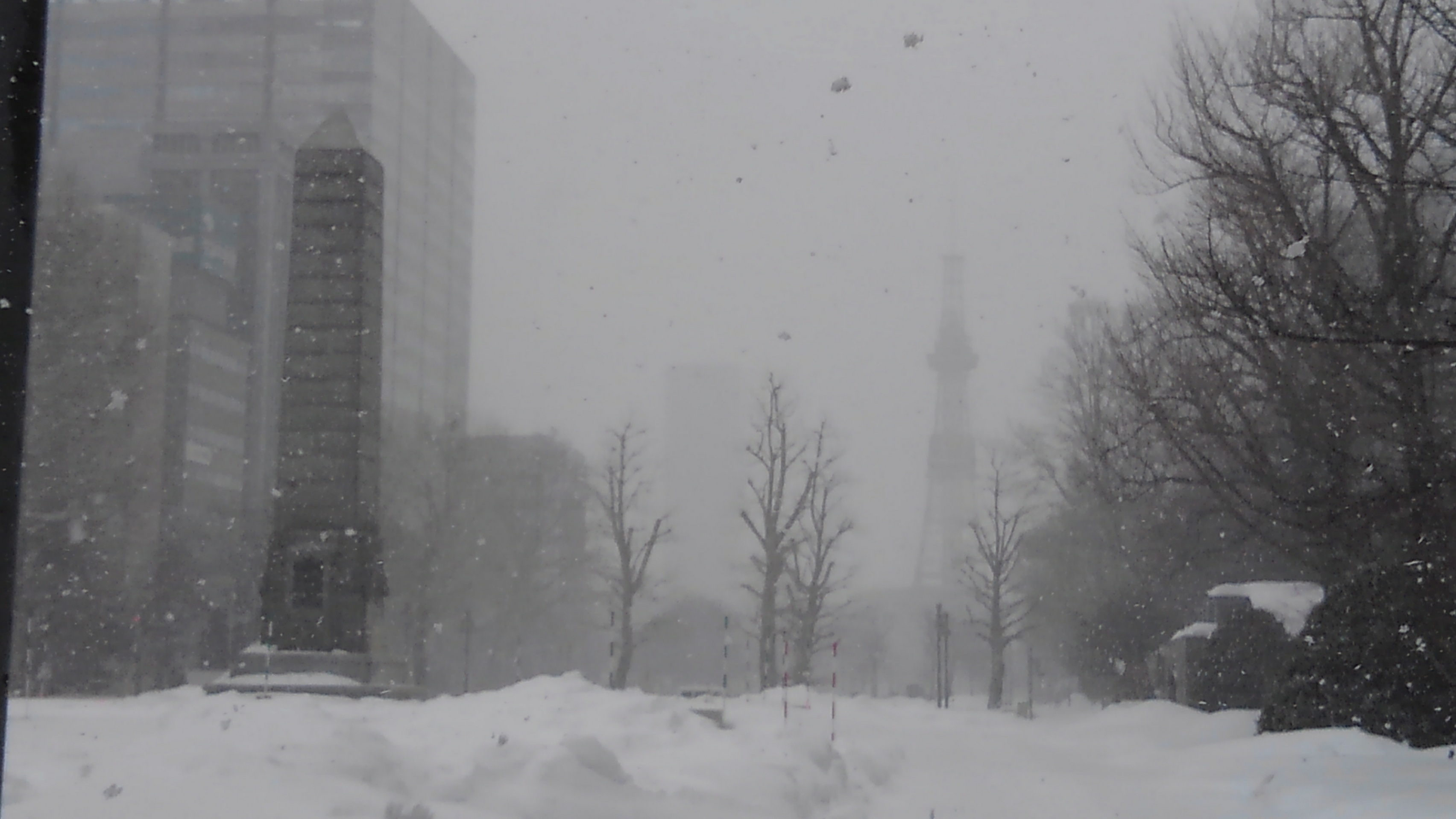 大通公園西5丁目から聖恩碑とテレビ塔を撮影したが吹雪でかすんでいる3月6日の朝の画像