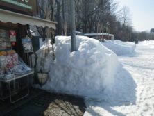 西7丁目売店横の残雪とプランターの画像