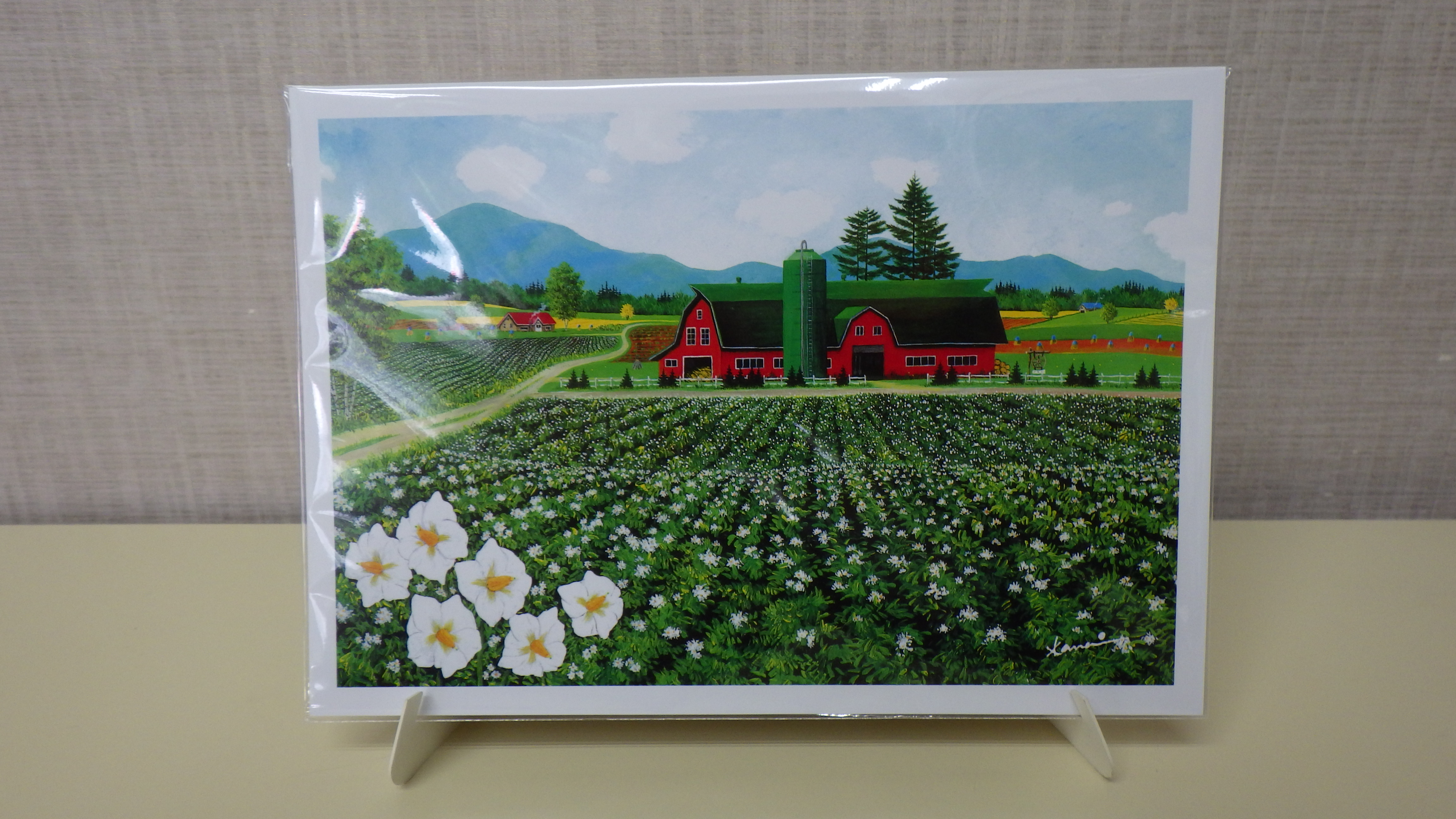 金井英明のタイトルが北の大地に広がるジャガイモ畑の葉書の画像