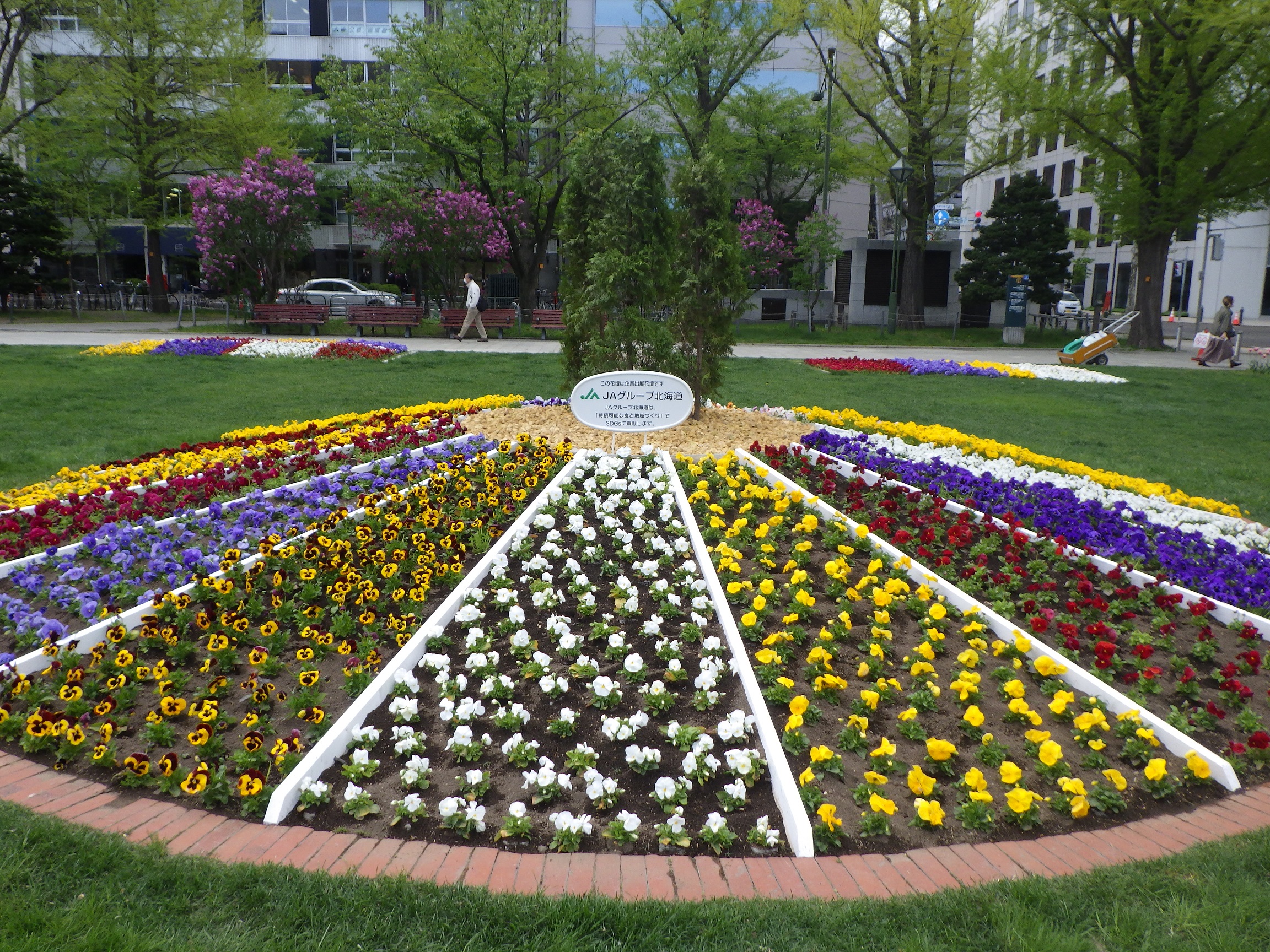 LAバンク様のスポンサー花壇の春の花が植えられている写真
