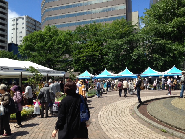 花フェスタ 大通公園 公益 財団法人 札幌市公園緑化協会