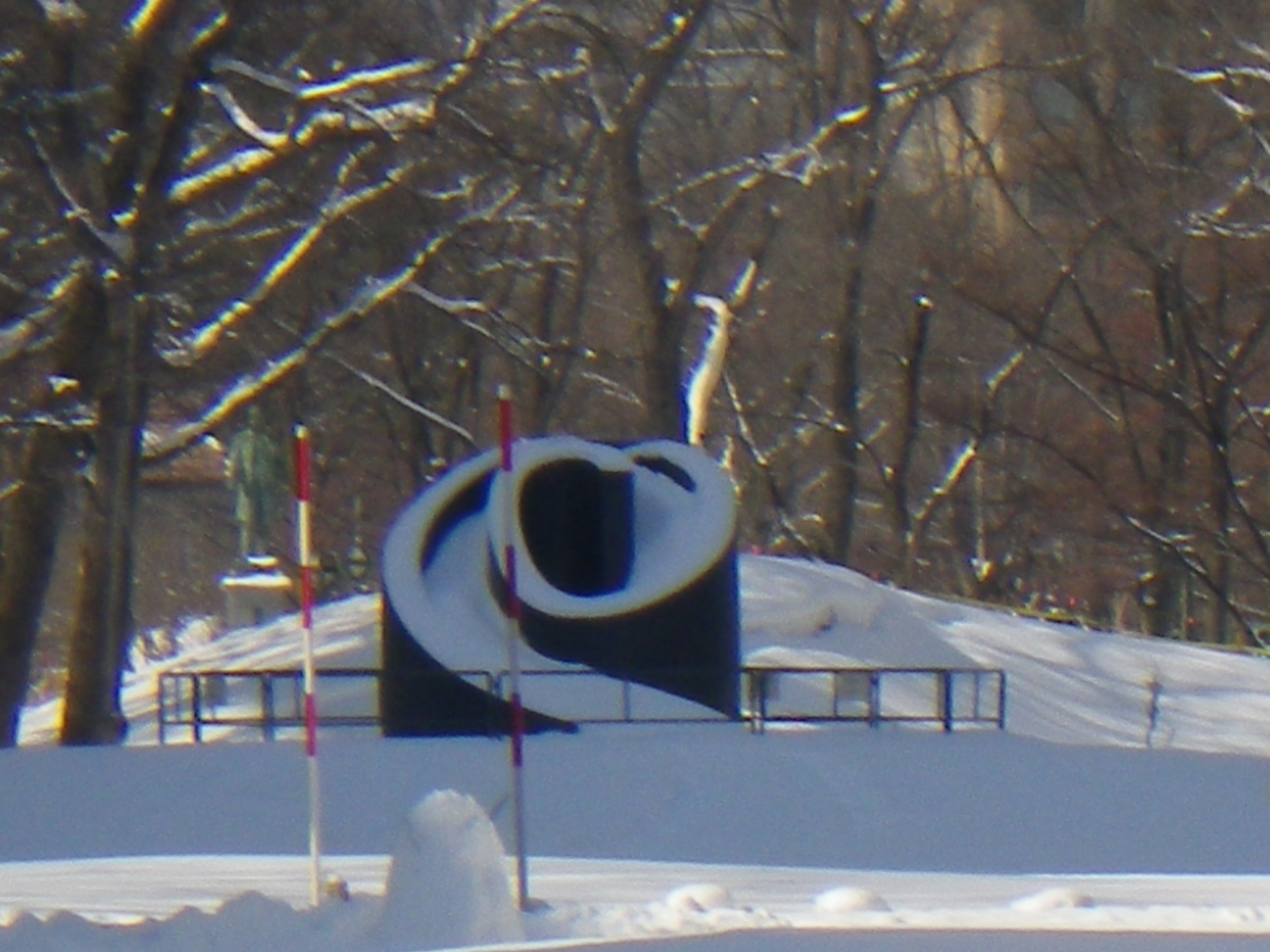 雪のブラックスライドマントラr3 2 28 大通公園 公益 財団法人 札幌市公園緑化協会