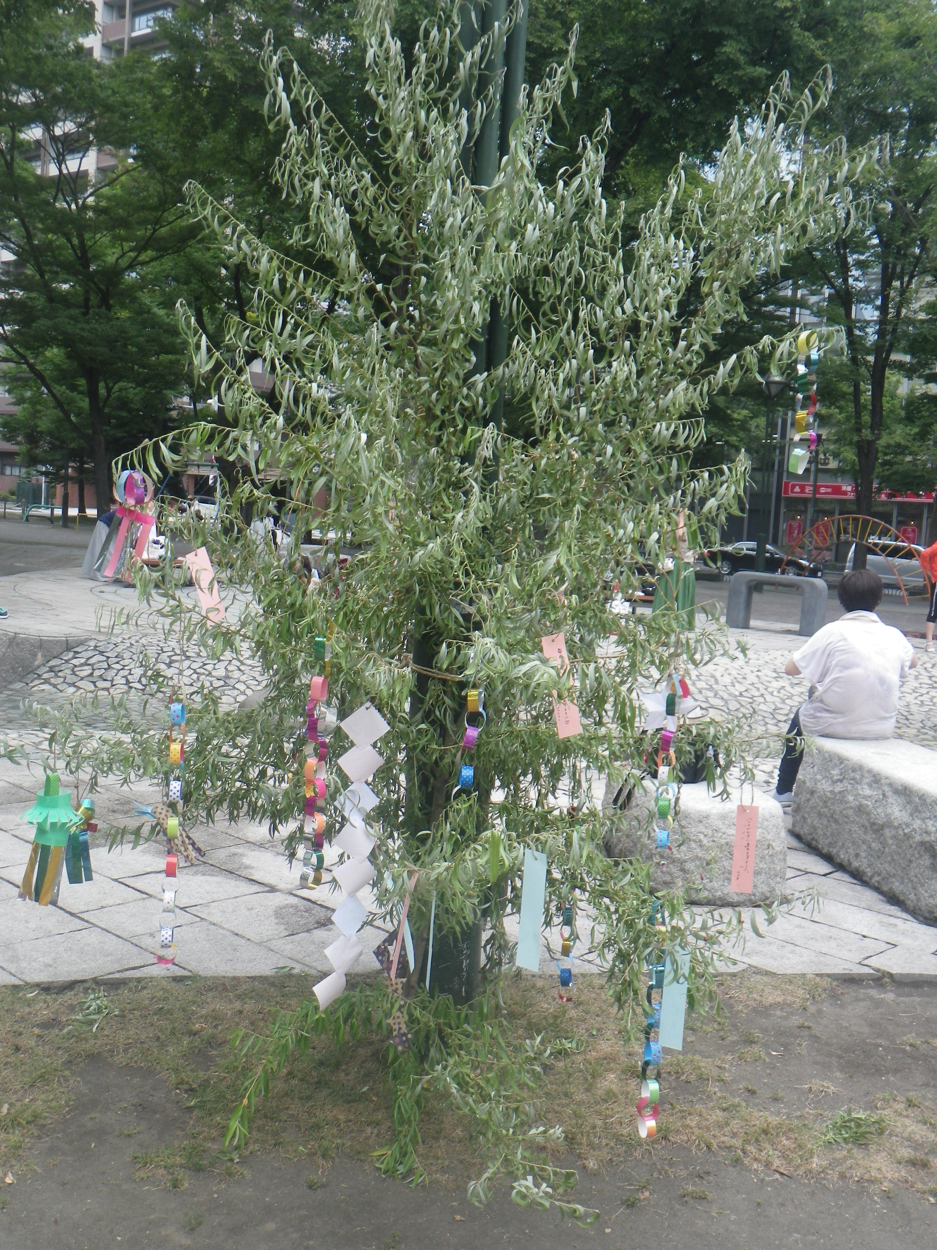 七夕会 大通公園 公益 財団法人 札幌市公園緑化協会