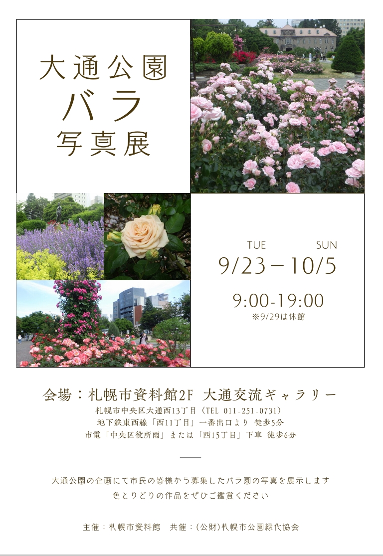 嵐 【バラ売り、値段等コメントお待ちしてます】 おまけで公式写真数枚付けます Man 公式写真 集合 混合① バラ売り可 Amazon.co.jp: ARASHI 嵐 公式