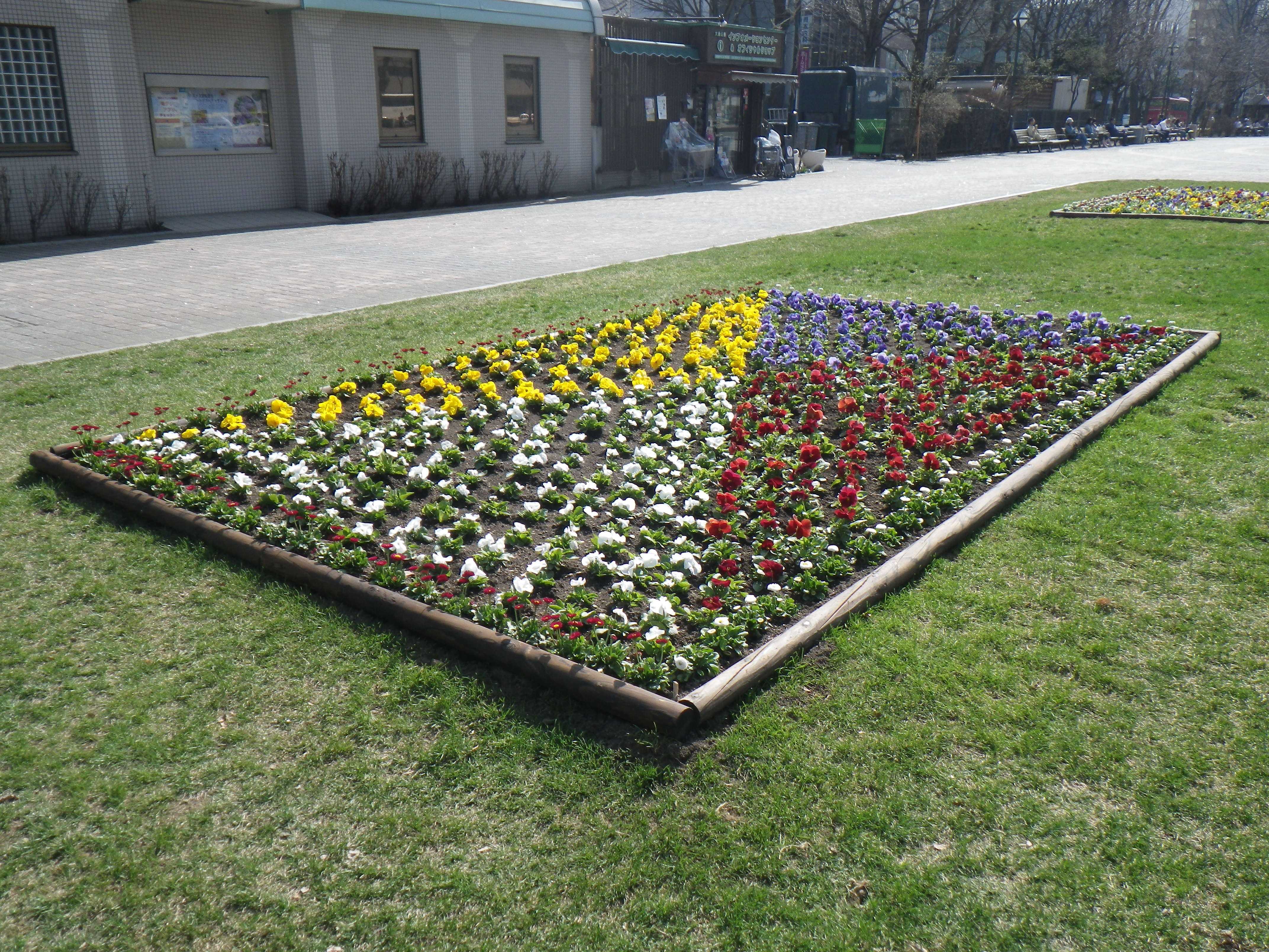 春花壇 大通公園 公益 財団法人 札幌市公園緑化協会