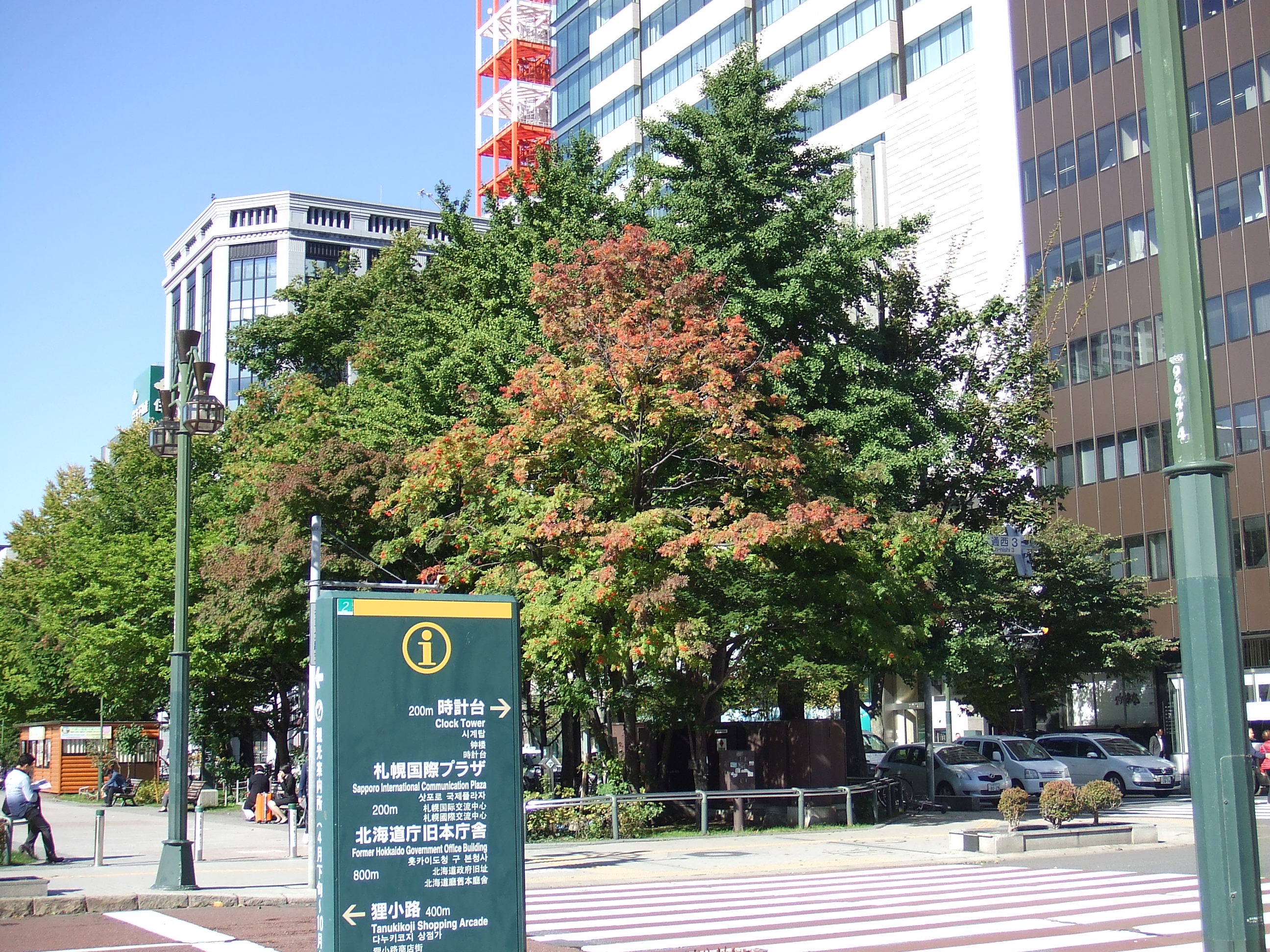 Admin 大通公園 公益 財団法人 札幌市公園緑化協会