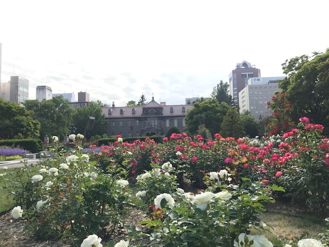 バラ園 大通公園 公益 財団法人 札幌市公園緑化協会