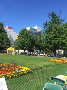 23 7月 16 大通公園 公益 財団法人 札幌市公園緑化協会