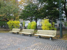 RIMG0745-222x167.jpg