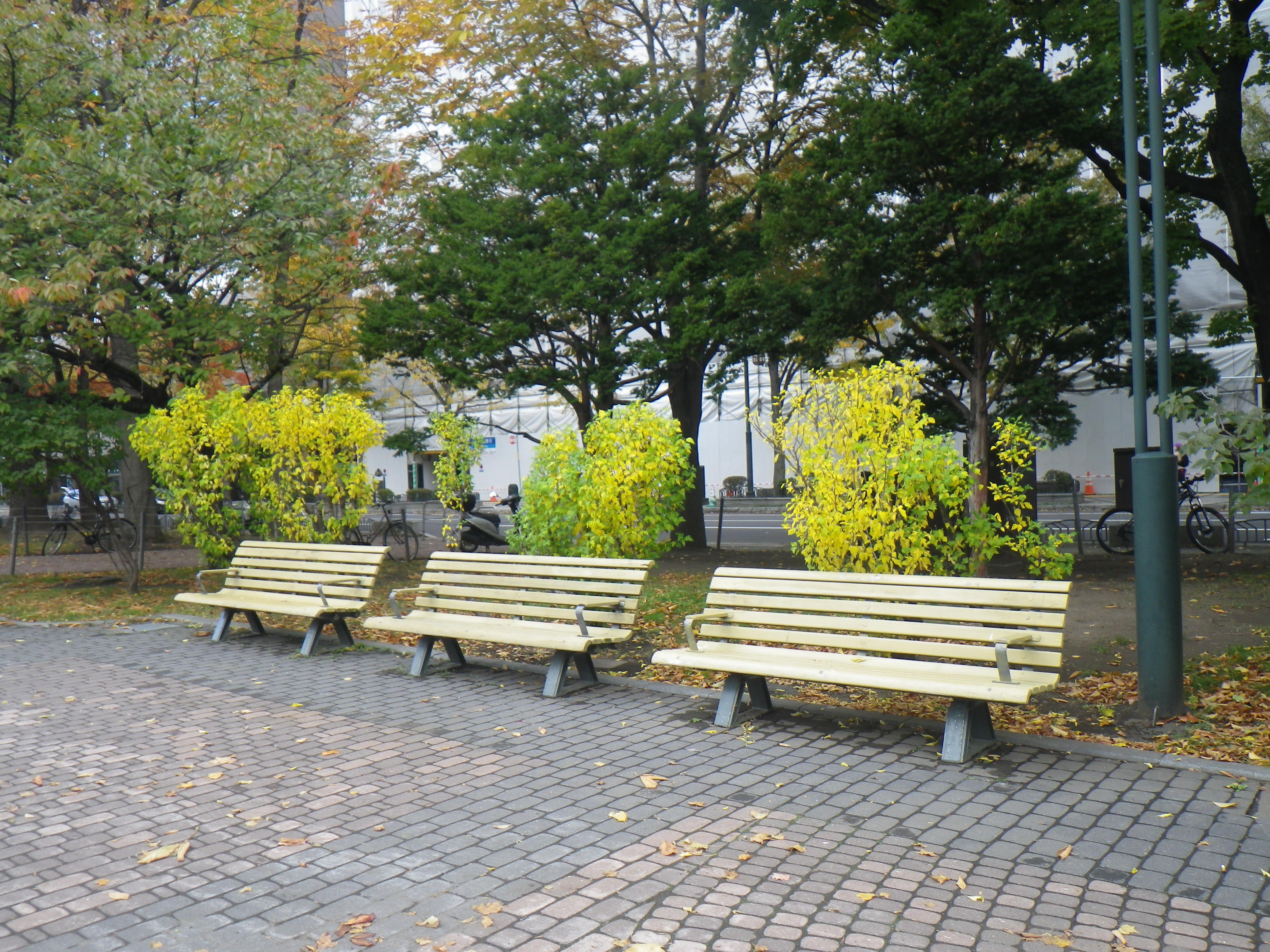 西7丁目北東のベンチ | 大通公園 -公益 財団法人 札幌市公園緑化協会