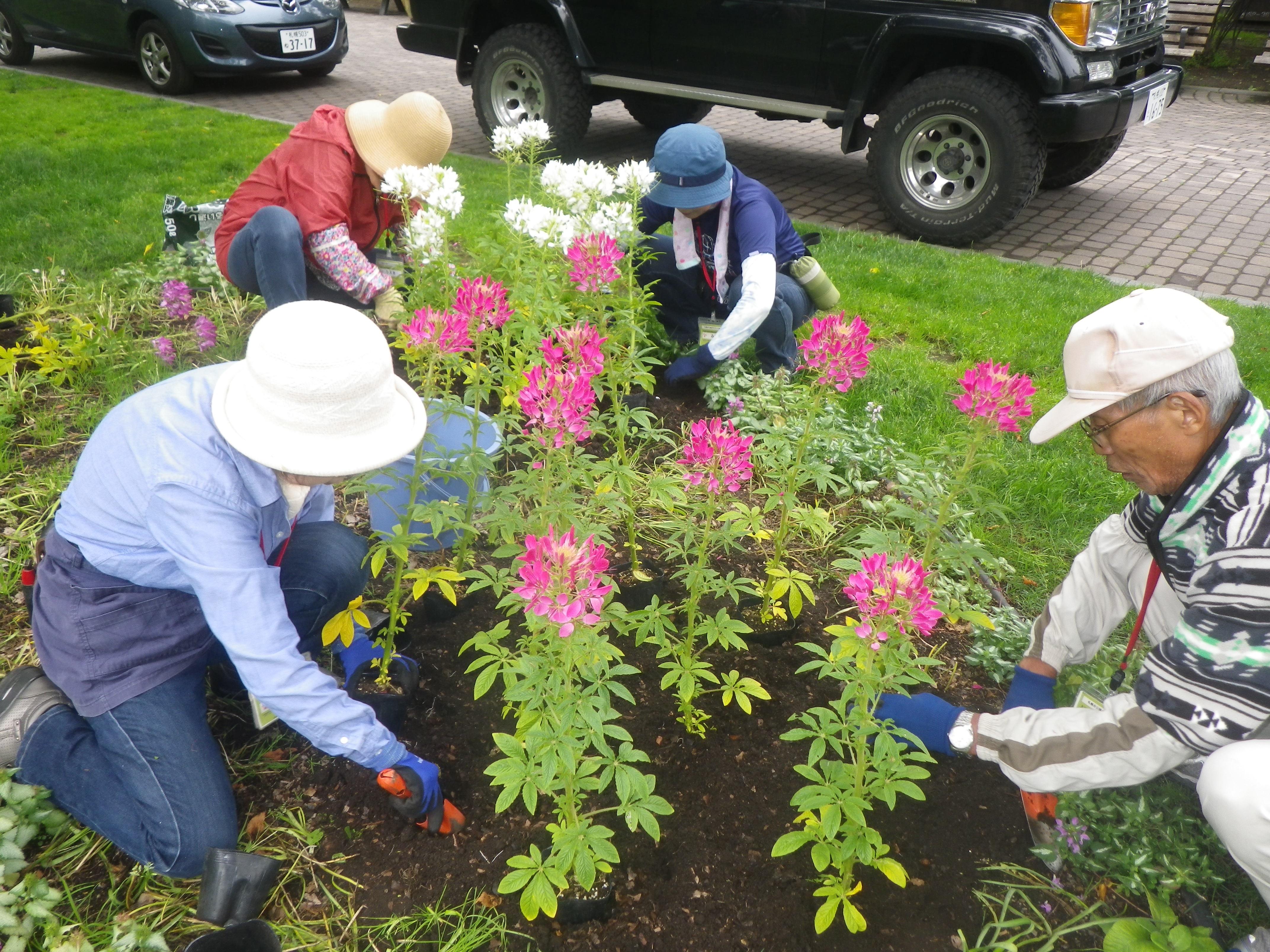 18 7月 16 大通公園 公益 財団法人 札幌市公園緑化協会