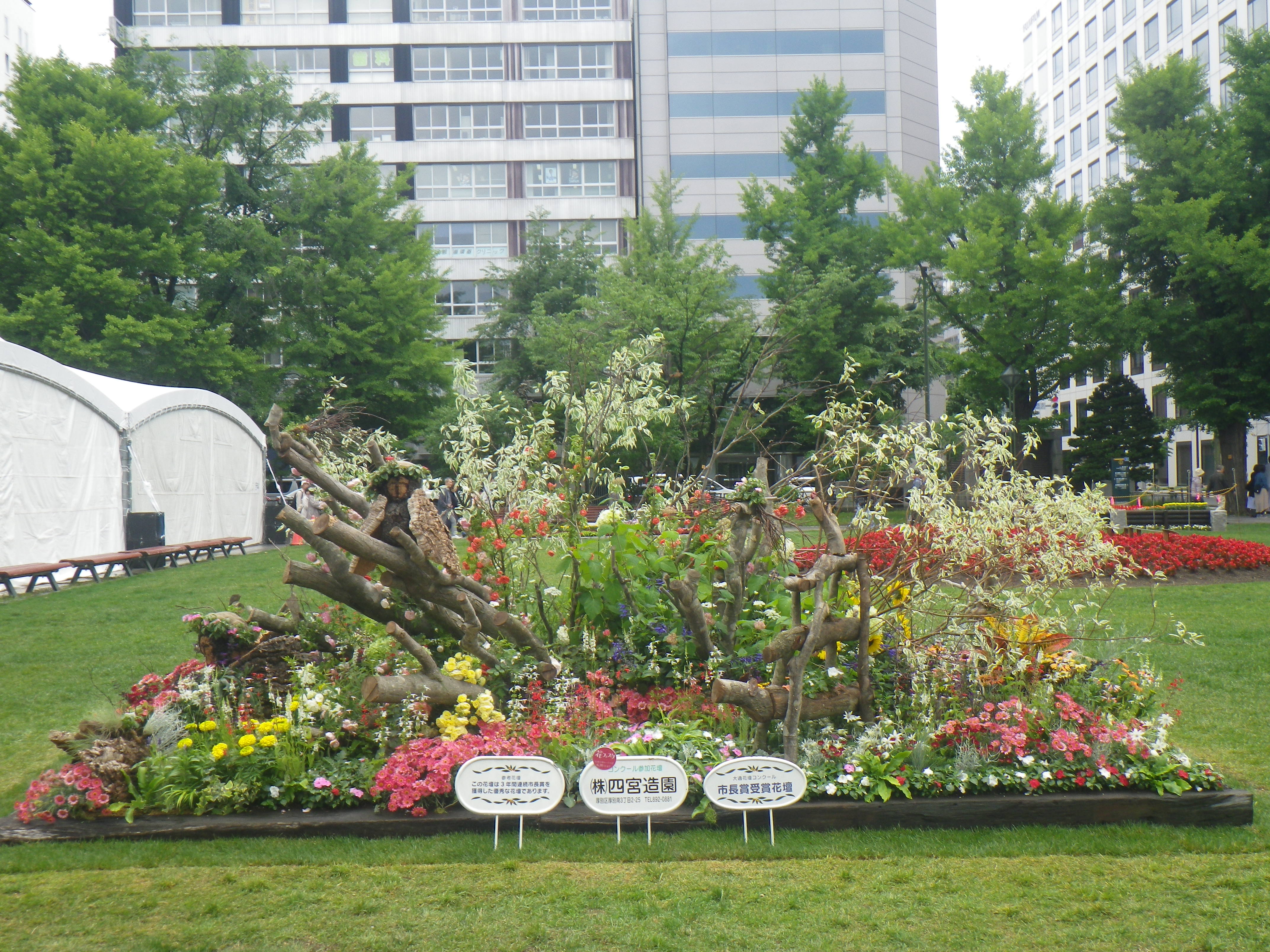 四宮造園 大通公園 公益 財団法人 札幌市公園緑化協会