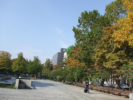 10月17日 大通公園 公益 財団法人 札幌市公園緑化協会