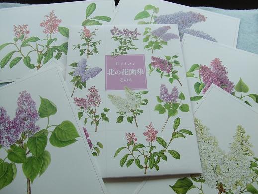 ライラックのカード | 大通公園 -公益 財団法人 札幌市公園緑化協会